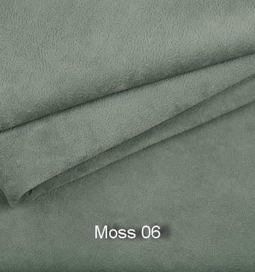 Moss 06