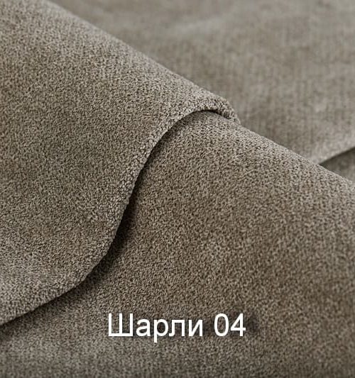 Шарли 04